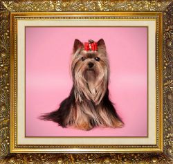 F-131 Алмазная мозаика МИЛАТО "Милое счастье"