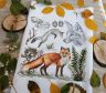 03.014.17 Набор для вышивания Марья Искусница "Зоология. Лисица обыкновенная"