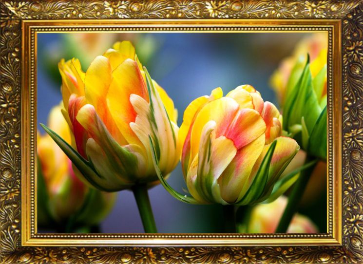  Алмазная мозаика Милато "Магия цветов" NR-16