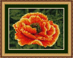 П-20 Пылающий мак (Инкомтех)