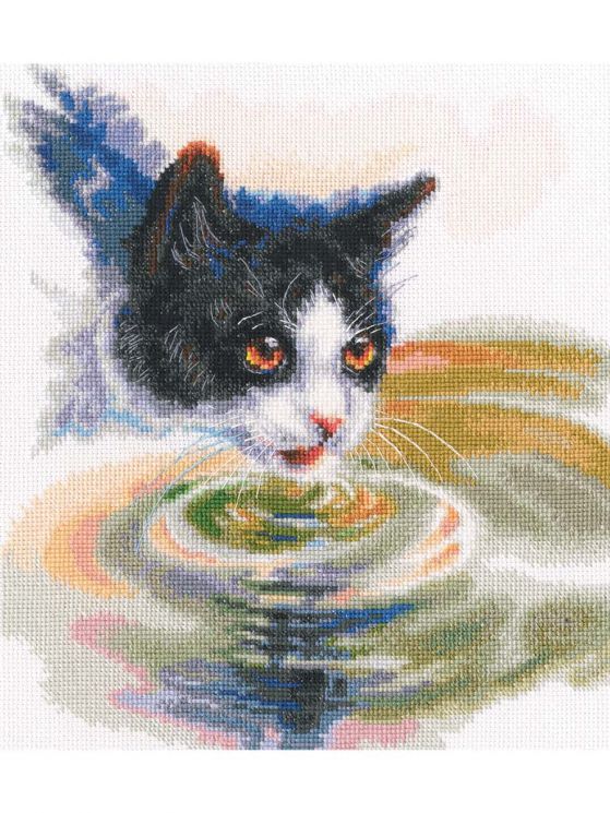 M825 Набор для вышивания РТО "Жажда"