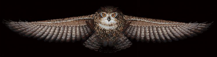 Набор для вышивки Сделай своими руками "Сова" С-44