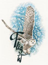 M816 НАБОР ДЛЯ ВЫШИВАНИЯ РТО "ПОЛЁТ"