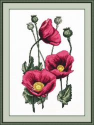 723 Цветы грез (Овен)