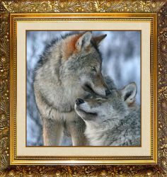 F-335 Алмазная мозаика Милато "Волчья нежность"