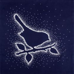 CU014 Набор для вышивания РТО "Снежное серебро. Птичка"