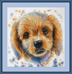 893 "Люси" (Овен)