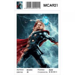 MCA921 Картина по номерам  "Тор" ,  40х50 см