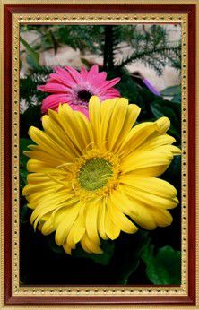 Алмазная мозаика PSP "Яркие герберы" 068