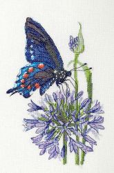 03.015.19 Набор для вышивания Марья Искусница "Синий махаон"