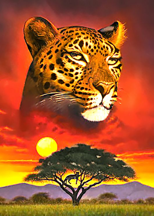 Ag 2406 Алмазная мозаика Гранни "Повелитель равнин"