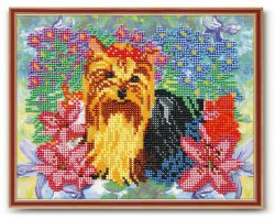 В-218 "Принцесса" (КРОШЕ)