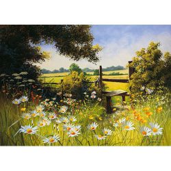 Поле ромашек. Ag 1015