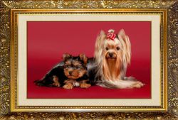 F-118 Алмазная мозаика МИЛАТО "Забавные аристократы"