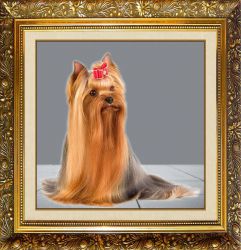 F-123 Алмазная мозаика МИЛАТО "Домашний любимчик"